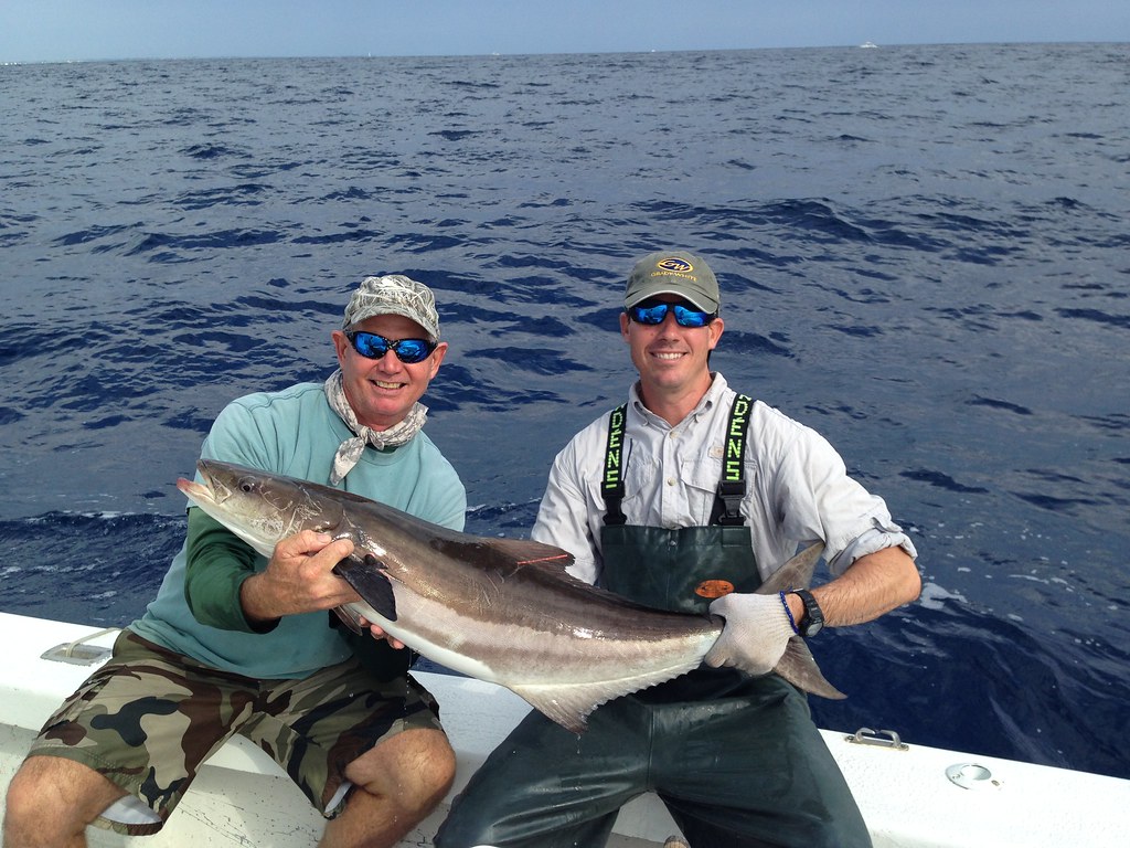 The Florida Cobia How To Catch Cobia In Florida Charter Fishing Destin