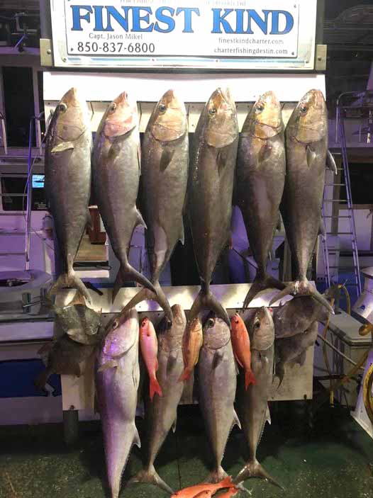 Destin Fishing Rodeo catch from the Finest Kind Charter Boat.