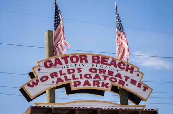 Gator Beach in Destin, FL