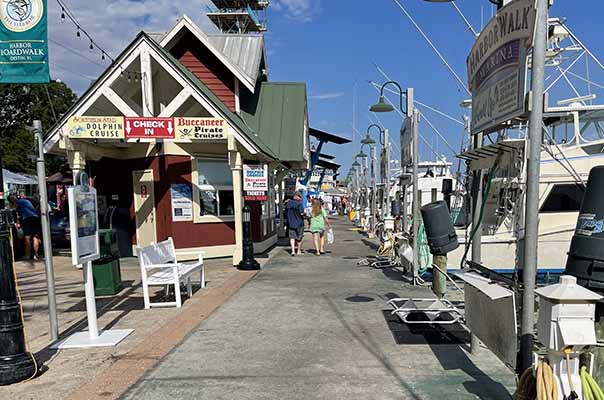 HarborWalk Village, Near Dolphin Cruises