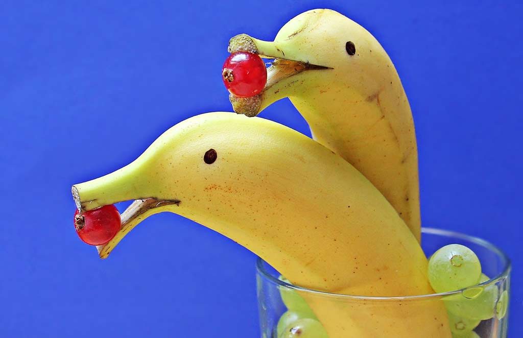 Healthy snacks: Bananas shaped like dolphins eating berries