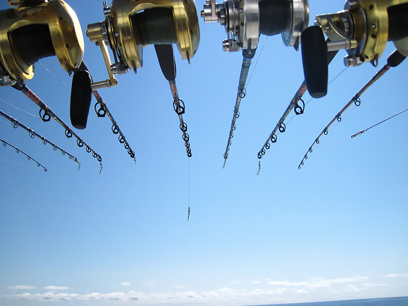 Thkfish THKFISH Topwater Fishing Lures GT Popper Lures Saltwater