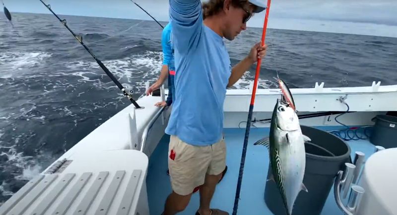 You can catch the rainbow when fishing in the Gulf Stream